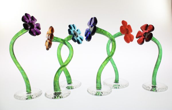 Flowers - indoor - Image 2