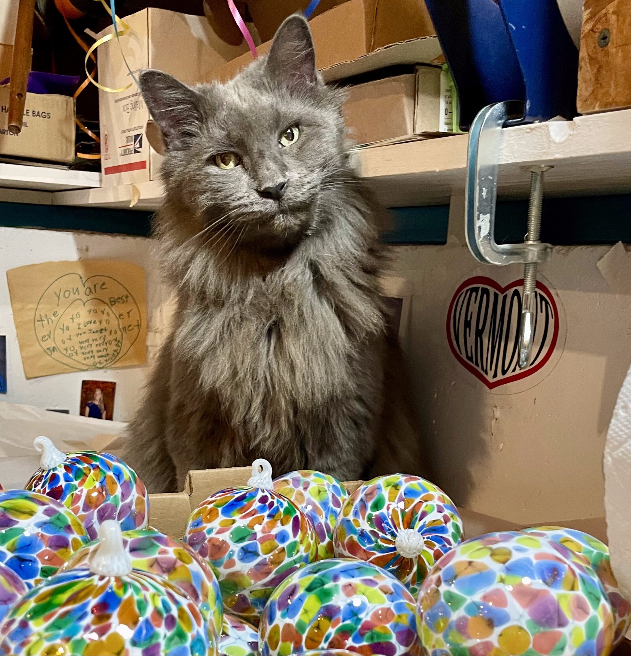 Rainbow with White Ornaments - Image 3